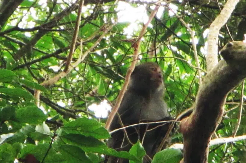 On the Walami Trail Walami Trail Tour
