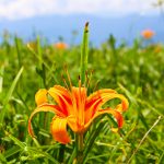 Sixty Stone Mountain tour