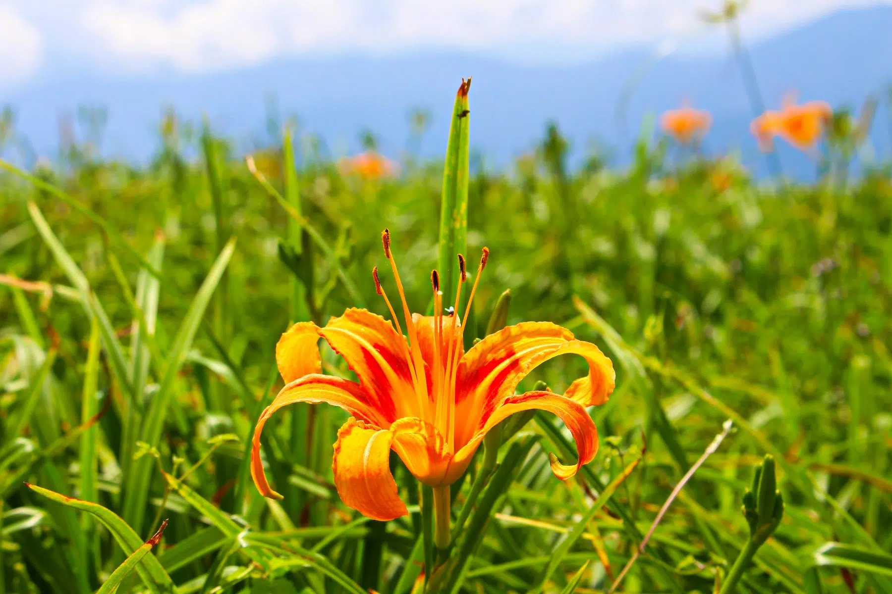 Sixty Stone Mountain tour