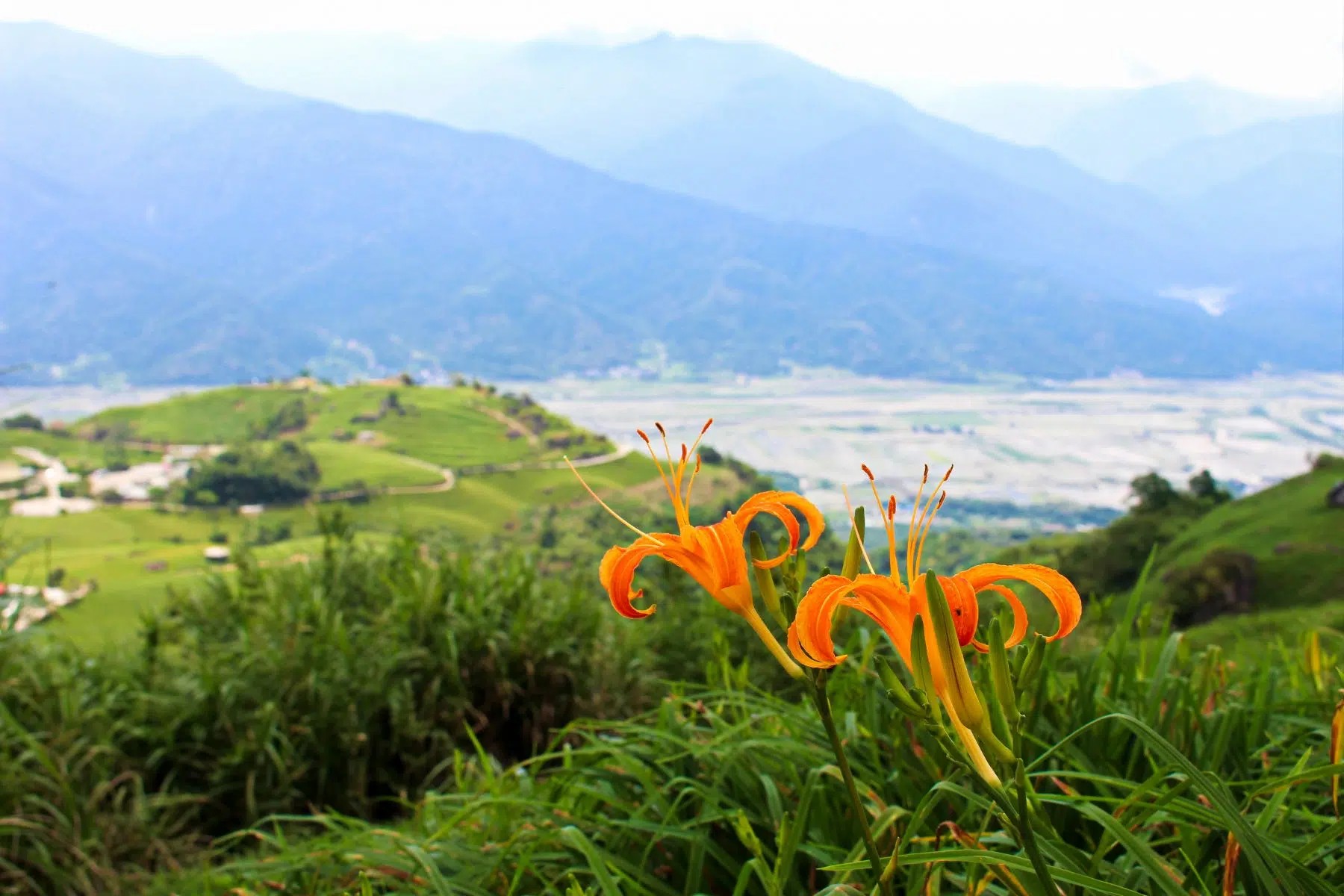 Sixty Stone Mountain tour