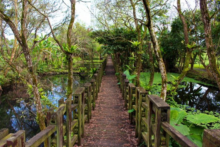 Mataian Wetlands on the East Rift Valley Tour