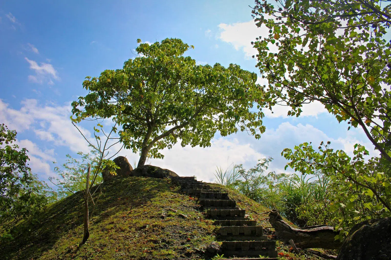 East Rift Valley Hualien Tour