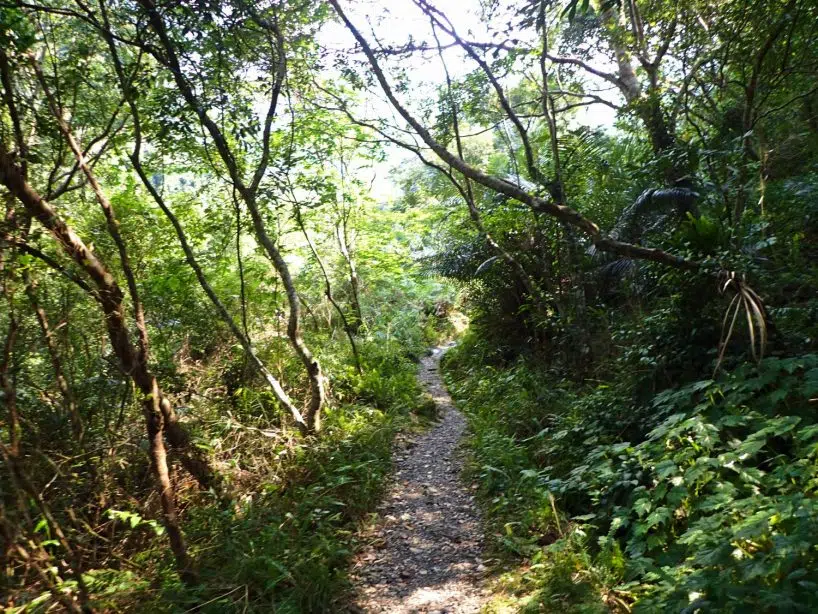 On the Trail Mugua River Gorge Tour Hualien Tour
