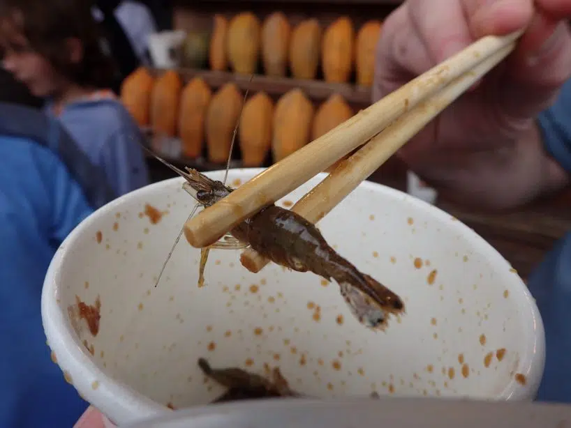 P4150462-1 Mugua River Gorge Tour Hualien Tour