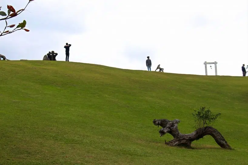 Cow Mountain Niushan huting on an east coast explorer tour from hualien