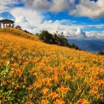 Sixty Stone Mountain tour