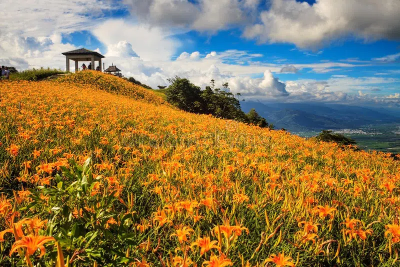 Sixty Stone Mountain tour