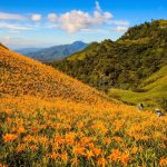 Sixty Stone Mountain tour