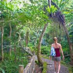 East Rift Valley, Butterfly Valley and Mugua River Gorge on our Hualien Rivers & Valleys tour