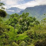 walami trail you on a hualien tour