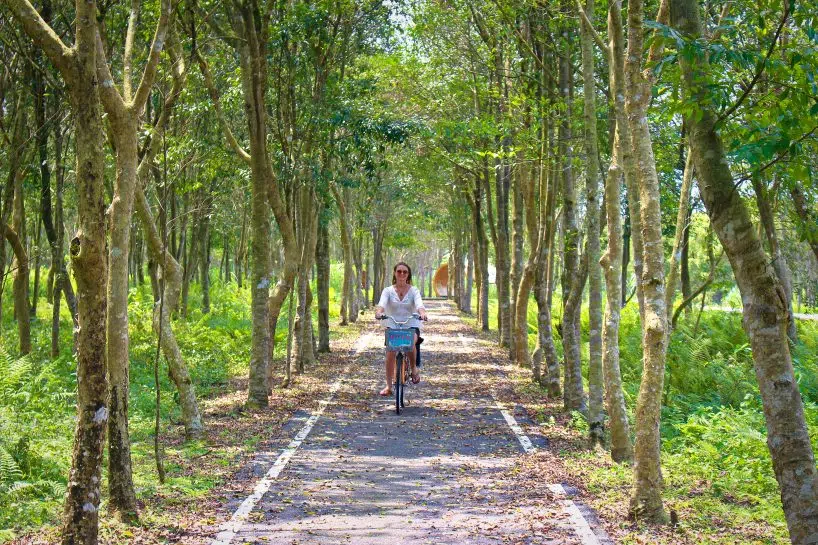 Danong Dafu Bike Ride 3 One of Many things to do in hualien, a Taroko Gorge Tour in Hualien, Hualien Tour of Taroko Gorge National Park Danong Dafu Forest Park